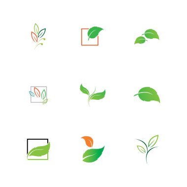 leaf logo and symbol set illustrasi design template, eco friendly concept