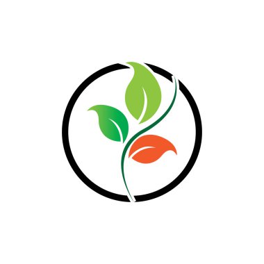 Ağaç yaprak vektör logo tasarımı, Eko Dostu kavramı