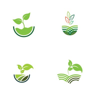 set of green plant farm vector logo concept design 