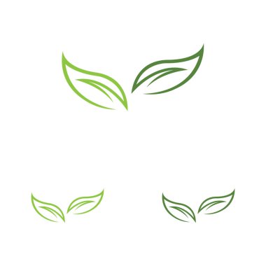 Yaprak logosu tasarımının vektör çizimi