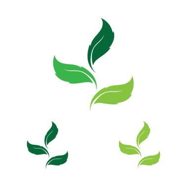 Yaprak logosu tasarımının vektör çizimi