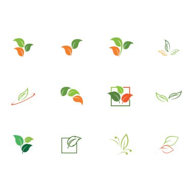 Natural leaves icon vector set isolated on white background. Various shapes of green leaves of trees and plants. Elements para eco y bio logo