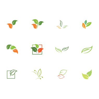 Natural leaves icon vector set isolated on white background. Various shapes of green leaves of trees and plants. Elements para eco y bio logo