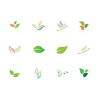 Natural leaves icon vector set isolated on white background. Various shapes of green leaves of trees and plants. Elements para eco y bio logo