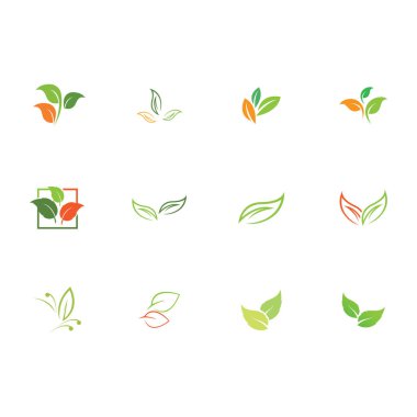 Natural leaves icon vector set isolated on white background. Various shapes of green leaves of trees and plants. Elements para eco y bio logo
