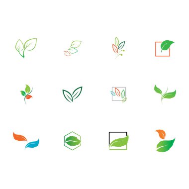 Natural leaves icon vector set isolated on white background. Various shapes of green leaves of trees and plants. Elements para eco y bio logo