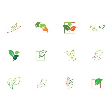 Natural leaves icon vector set isolated on white background. Various shapes of green leaves of trees and plants. Elements para eco y bio logo