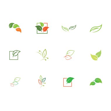 Natural leaves icon vector set isolated on white background. Various shapes of green leaves of trees and plants. Elements para eco y bio logo