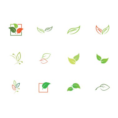 Natural leaves icon vector set isolated on white background. Various shapes of green leaves of trees and plants. Elements para eco y bio logo