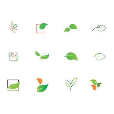 Natural leaves icon vector set isolated on white background. Various shapes of green leaves of trees and plants. Elements para eco y bio logo