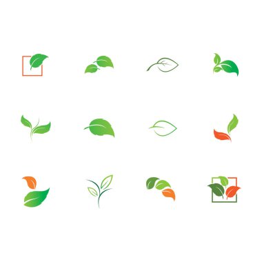 Natural leaves icon vector set isolated on white background. Various shapes of green leaves of trees and plants. Elements para eco y bio logo