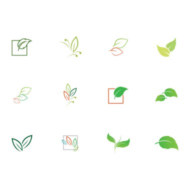 Natural leaves icon vector set isolated on white background. Various shapes of green leaves of trees and plants. Elements para eco y bio logo