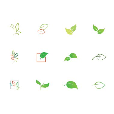 Natural leaves icon vector set isolated on white background. Various shapes of green leaves of trees and plants. Elements para eco y bio logo