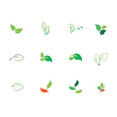 Natural leaves icon vector set isolated on white background. Various shapes of green leaves of trees and plants. Elements para eco y bio logo