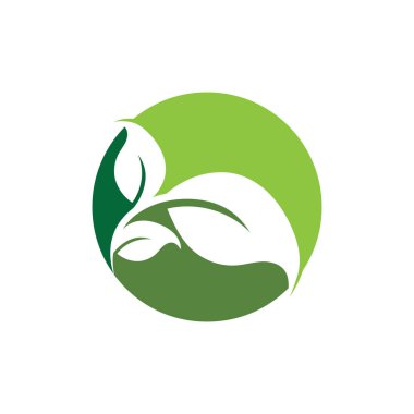 Yeşil yapraklı ekoloji doğa element ikonu logoları