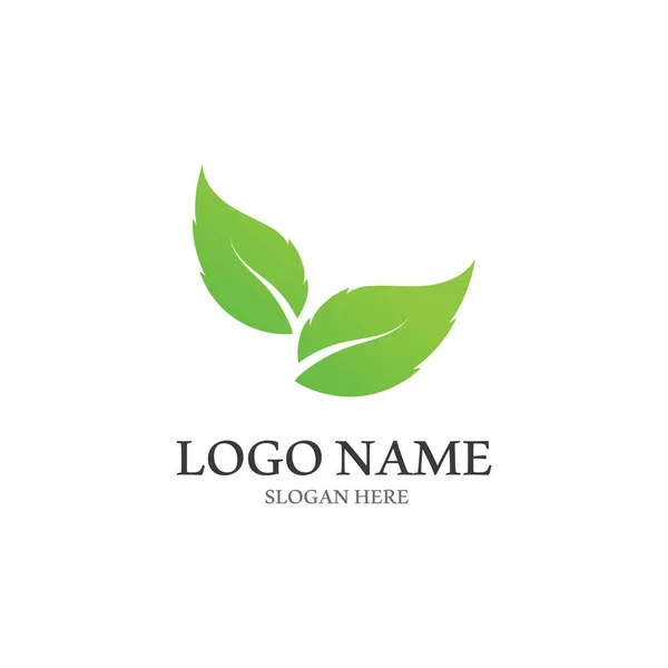 Strom Listů Vektorové Logo Design Eco Příjemný Koncepce — Stockový vektor