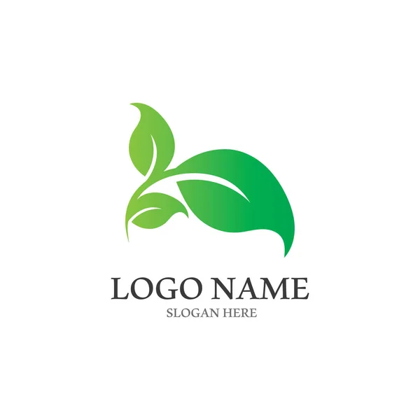 Strom Listů Vektorové Logo Design Eco Příjemný Koncepce — Stockový vektor