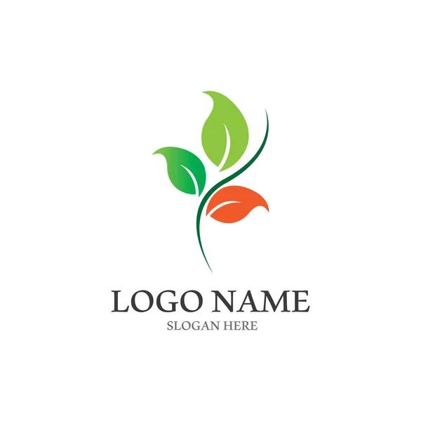 Ağaç Yaprak Vektör Logo Tasarımı Eko Dostu Kavramı — Stok Vektör
