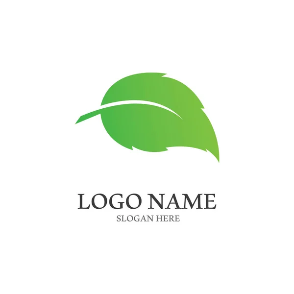 Diseño Del Logotipo Del Vector Hoja Árbol Concepto Ecológico — Archivo Imágenes Vectoriales