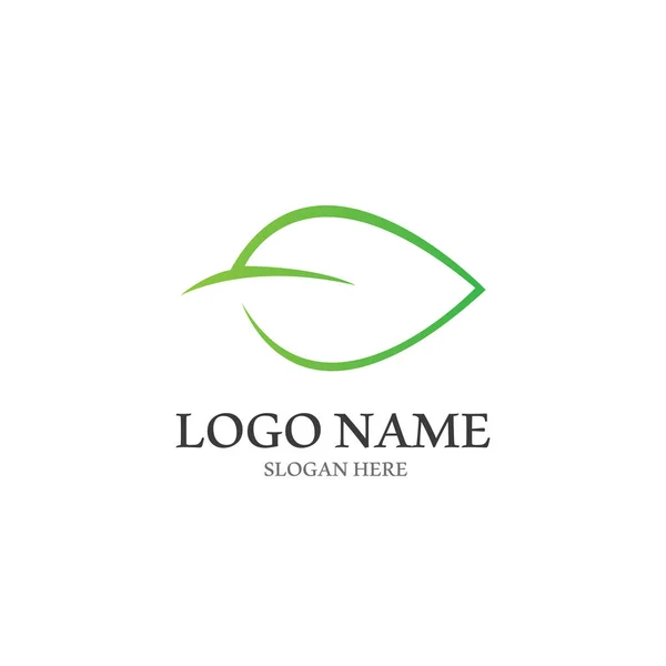 Tree Leaf Vector Logo Design Eco Friendly Concept — Stock Vector