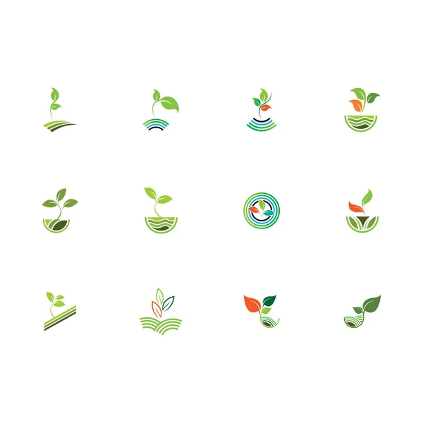 Natur Der Grünen Pflanze Farm Vektor Logo Konzept — Stockvektor