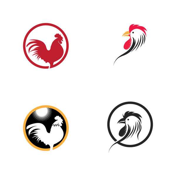vector set of Rooster logo images illustration design