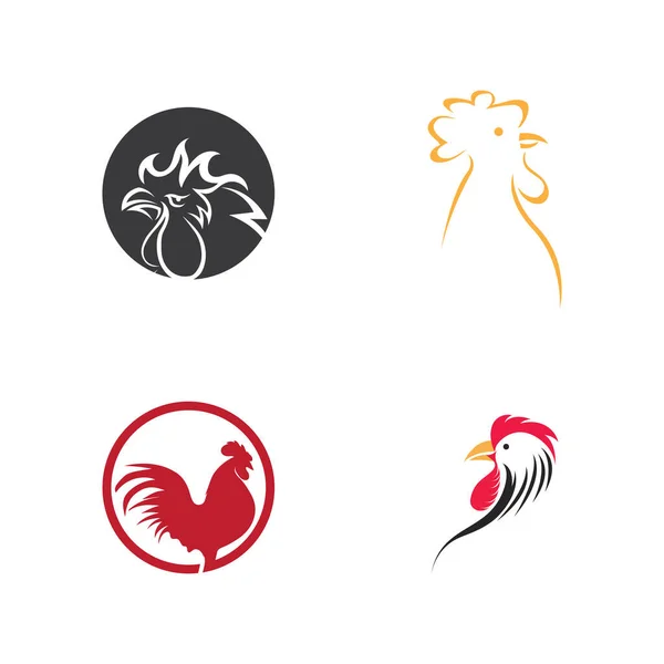 Vector Conjunto Imágenes Del Logotipo Del Gallo Diseño Ilustración — Vector de stock