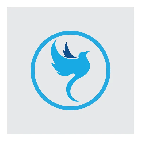 Vector Illustration Bird Logo Symbol Design — Stock Vector