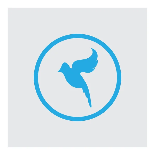 Ilustração Vetorial Logotipo Pássaro Design Símbolo — Vetor de Stock