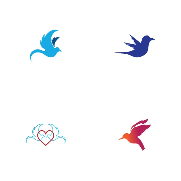 Conjunto Imagens Logotipo Pássaro Design Ilustração — Vetor de Stock