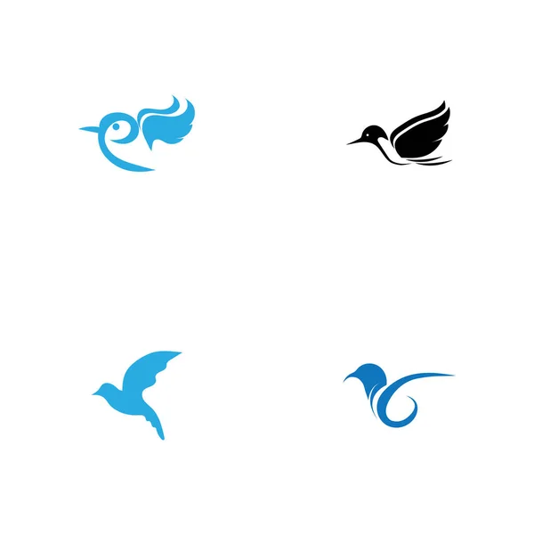 Conjunto Imagens Logotipo Pássaro Design Ilustração — Vetor de Stock