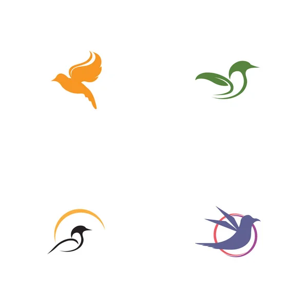 Conjunto Imágenes Logotipo Pájaro Diseño Ilustración — Archivo Imágenes Vectoriales