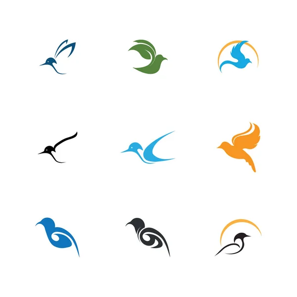 Векторный Набор Рисунков Логотипом Символами Птиц — стоковый вектор
