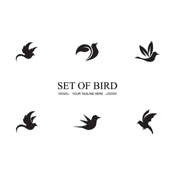 Pájaro Negro Conjunto Logo Símbolo Ilustración Diseño — Archivo Imágenes Vectoriales