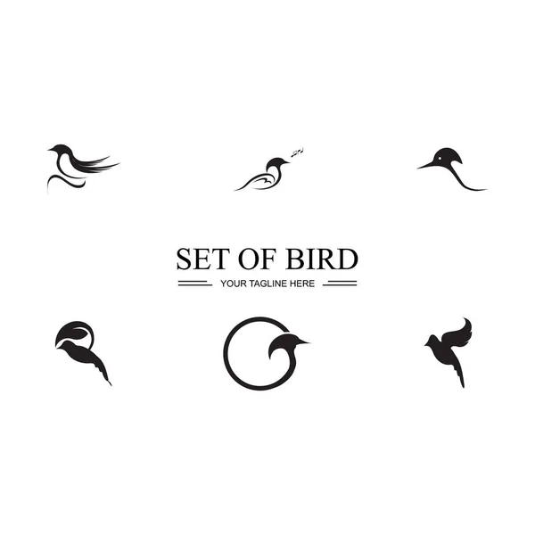Schwarzer Vogel Set Logo Und Symbol Illustration Design — Stockvektor