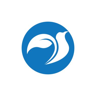 Basit kuş logosu ve sembol vektör çizimi tasarımı