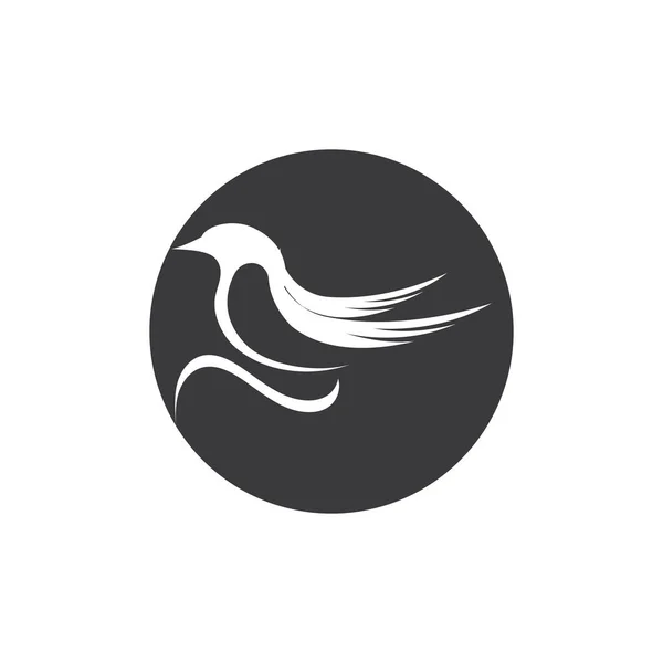 Diseño Ilustración Simple Logotipo Pájaro Vector Símbolo — Vector de stock