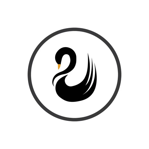 Klassisches Schwan Logo Und Symbol Vektor Illustrationsdesign — Stockvektor