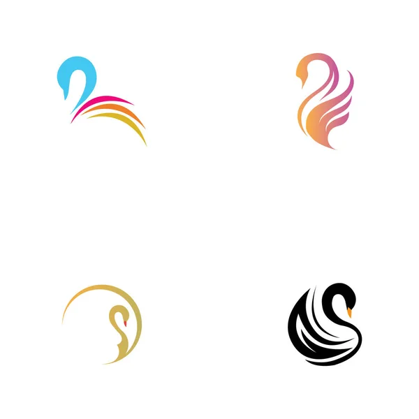 Swan Logotipo Símbolo Conjunto Imagens Ilustração Design — Vetor de Stock