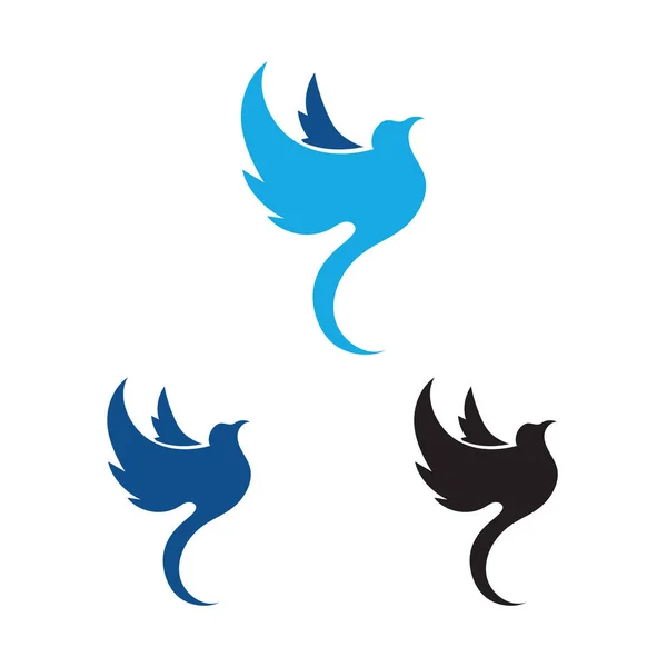 Une Collection Beaux Charmants Logos Oiseaux Sur Fond Blanc — Image vectorielle