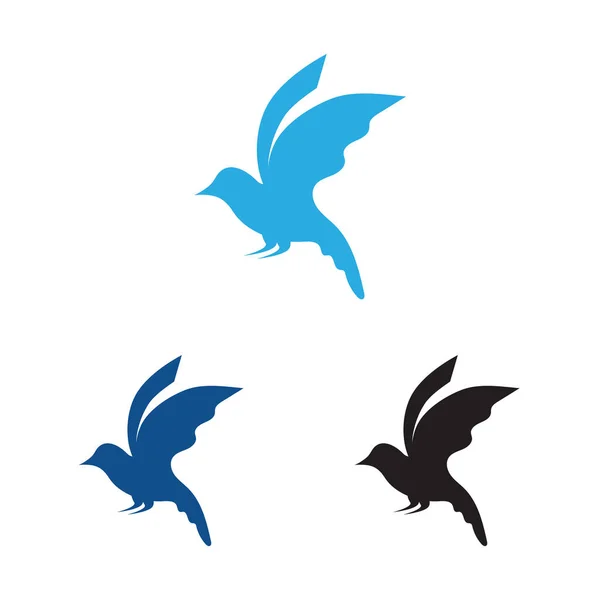 Kolekce Krásných Okouzlujících Ptačích Log Bílém Pozadí — Stockový vektor