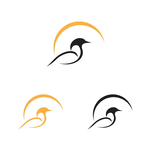 Una Colección Bellos Encantadores Logotipos Aves Sobre Fondo Blanco — Vector de stock