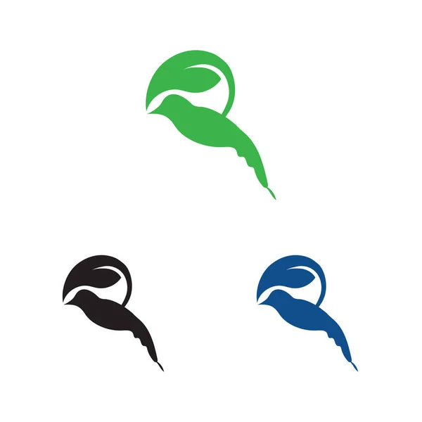 Samling Vackra Och Charmiga Fågel Logotyper Vit Bakgrund — Stock vektor