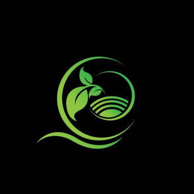 Siyah arka planda sağlık için organik bitkiler, yeşile dön