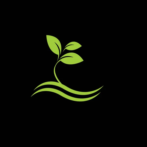 Ekologiska Växter För Hälsa Svart Bakgrund Grönt — Stock vektor