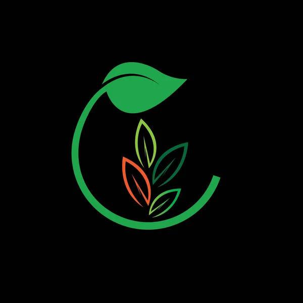 Plantas Orgánicas Para Salud Sobre Fondo Negro Verde — Vector de stock