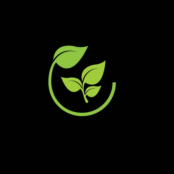 Βιολογικά Φυτά Για Την Υγεία Μαύρο Φόντο Πάει Πράσινο — Διανυσματικό Αρχείο