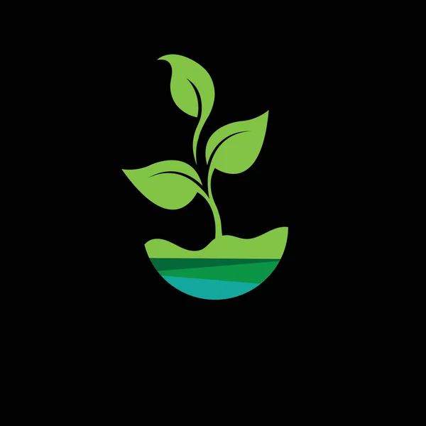 Plantas Orgánicas Para Salud Sobre Fondo Negro Verde — Vector de stock