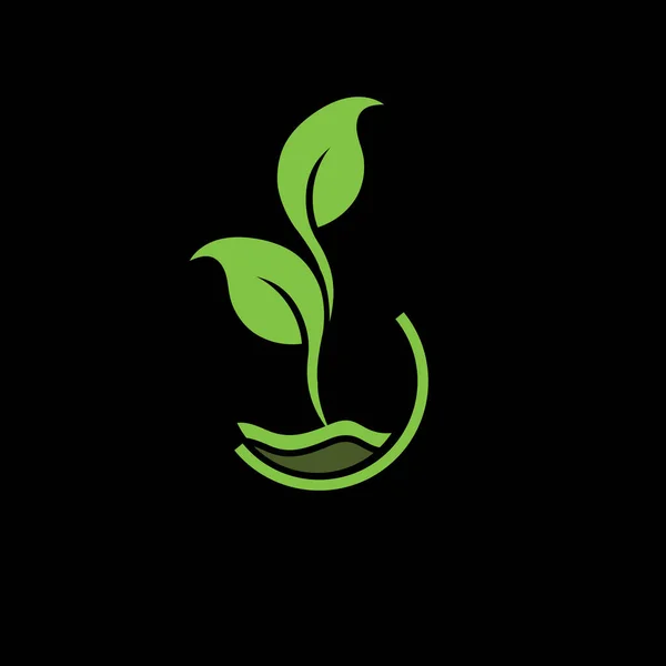 Plantas Orgânicas Para Saúde Fundo Preto Verde — Vetor de Stock