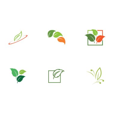 Yaprak logosu illüstrasyon vektörü ve çevre dostu kavram